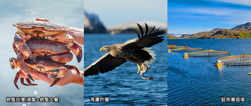 羅浮敦三合一體驗